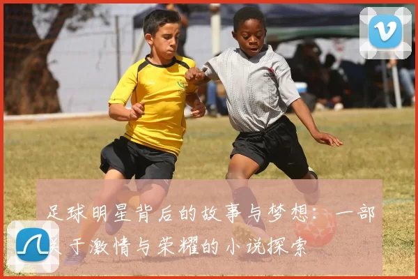 足球明星背后的故事与梦想：一部关于激情与荣耀的小说探索