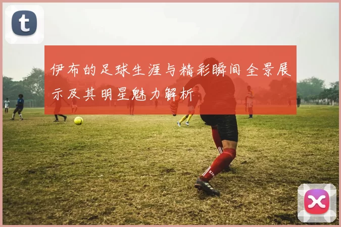 伊布的足球生涯与精彩瞬间全景展示及其明星魅力解析