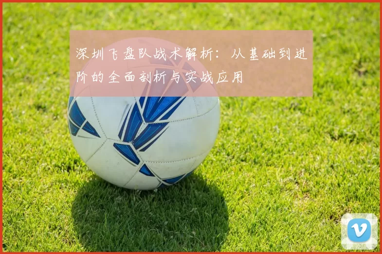 深圳飞盘队战术解析：从基础到进阶的全面剖析与实战应用