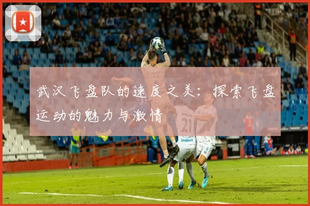 武汉飞盘队的速度之美：探索飞盘运动的魅力与激情