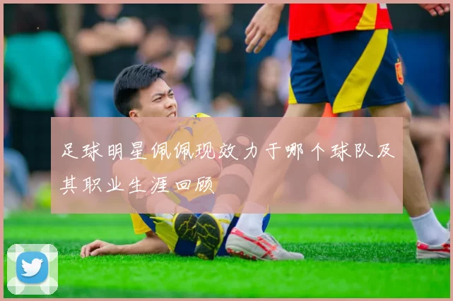 足球明星佩佩现效力于哪个球队及其职业生涯回顾