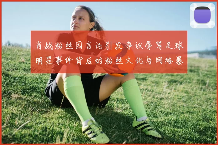 肖战粉丝因言论引发争议辱骂足球明星事件背后的粉丝文化与网络暴力探讨