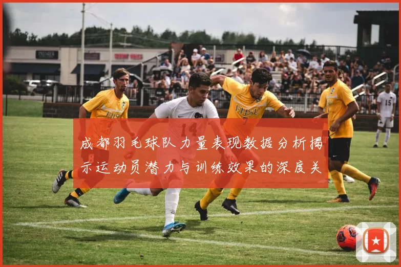 成都羽毛球队力量表现数据分析揭示运动员潜力与训练效果的深度关系