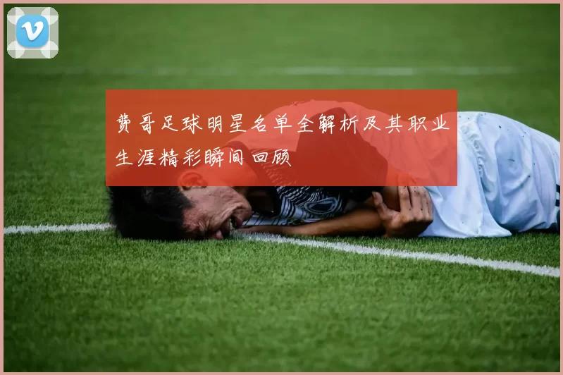 费哥足球明星名单全解析及其职业生涯精彩瞬间回顾