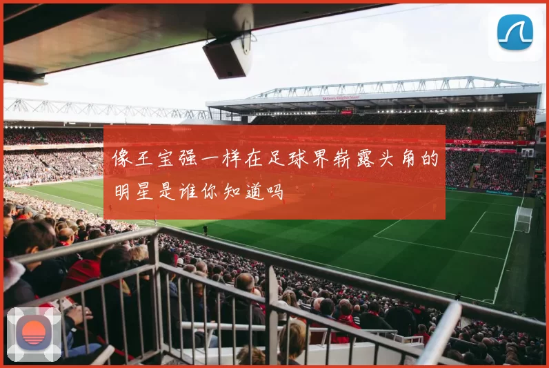 像王宝强一样在足球界崭露头角的明星是谁你知道吗