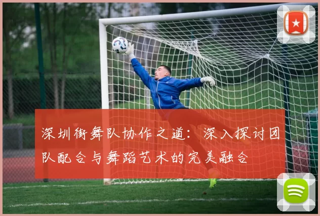 深圳街舞队协作之道：深入探讨团队配合与舞蹈艺术的完美融合