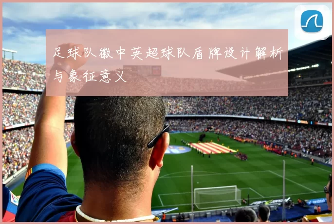 足球队徽中英超球队盾牌设计解析与象征意义