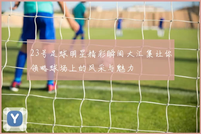 23号足球明星精彩瞬间大汇集让你领略球场上的风采与魅力