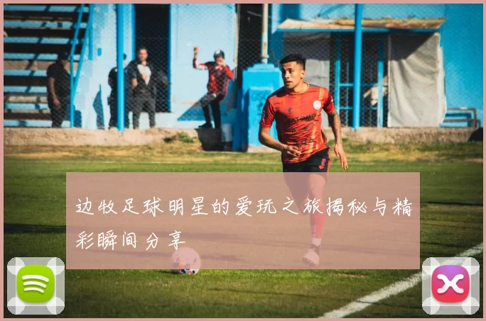 边牧足球明星的爱玩之旅揭秘与精彩瞬间分享
