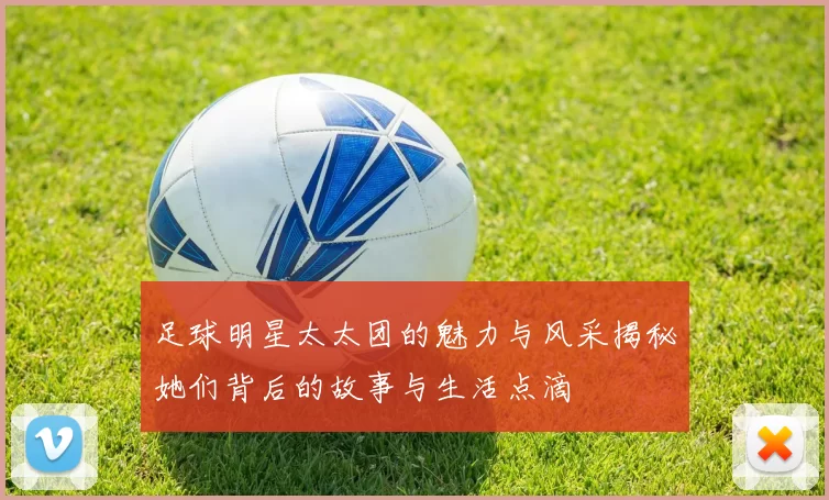足球明星太太团的魅力与风采揭秘她们背后的故事与生活点滴