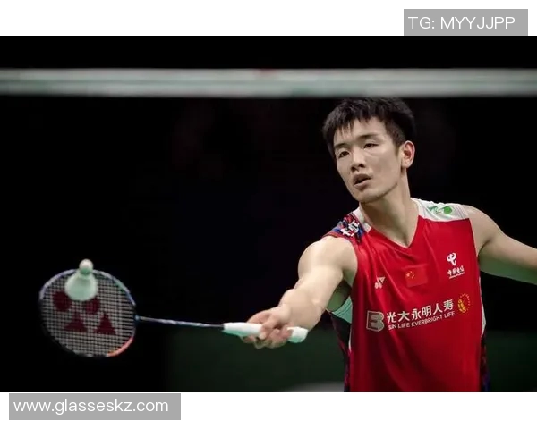 中国羽毛球运动员的奋斗历程与辉煌成就探析