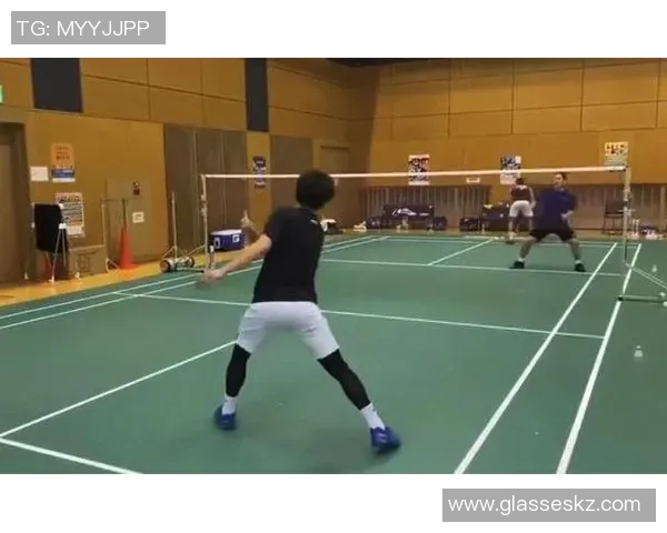 北京羽毛球队防守策略解析：深度剖析其战术与技术优势