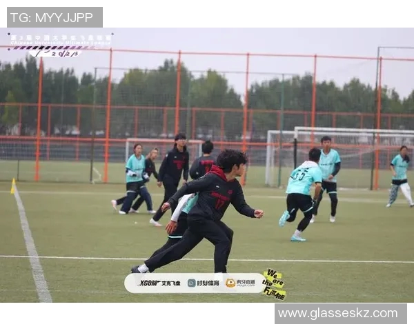 飞盘盛宴：深入武汉飞盘队的战术与技巧探讨