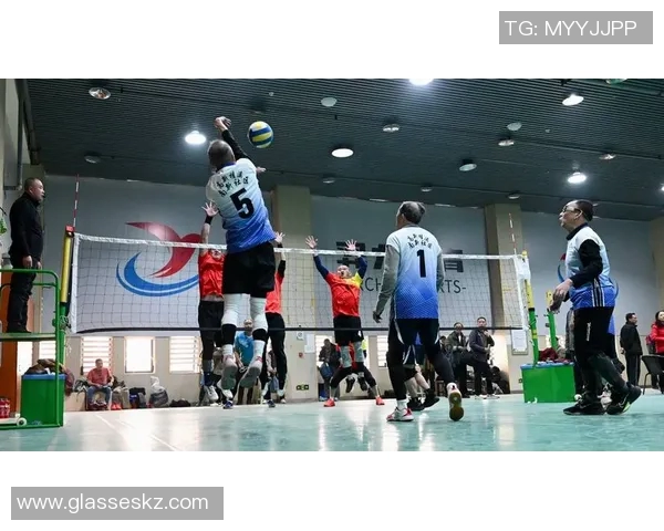 成都排球队技术对比深度解析与发展趋势探讨