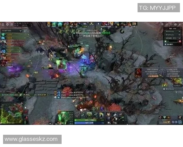 RNG战队灵活性分析:如何在DOTA2中应对多变战局与策略调整 RNG战队灵活性分析:如何在DOTA2中应对多变战局与策略调整